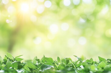 Lush green foliage in bright sunlight, bokeh background.