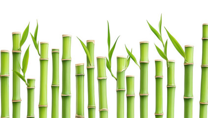 green bamboo stalks standing upright with a few leaves sprouting from the tops set against a clean white background emphasizing a natural and serene aesthetic