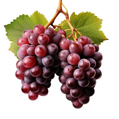 Fototapeta premium bunch of red grapes isolated on transparant background
