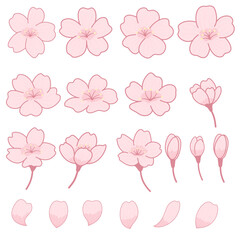 Set of cherry blossom