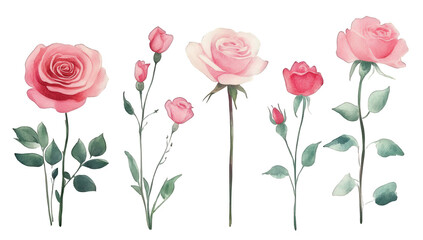 Naklejka premium a beautifully illustrated arrangement of various pink roses showcasing different stages of bloom with delicate leaves on a soft background perfect for floral design inspiration or decoration
