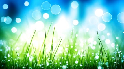 Fototapeta premium Dew covered grass glistening under morning light