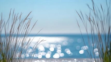 Tranquil Ocean View Through Grass with Sparkling Water and Blue Sky