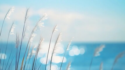 Flowing Grass by the Sea Water with Bokeh Light on the Background