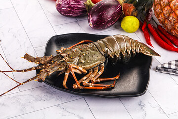 Raw wild fresh spiny lobster