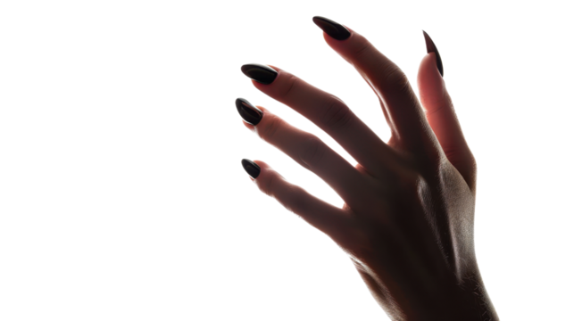 Woman hand with long black nails on transparent background