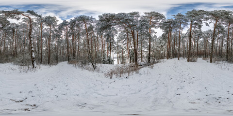 winter full spherical 360 hdri panorama view on pedestrian road in snowy forest in equirectangular...