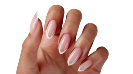 Woman showing french manicure on long almond shaped nails on transparent background