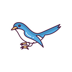 Bird doodle color line icon with white background vector stock illustration