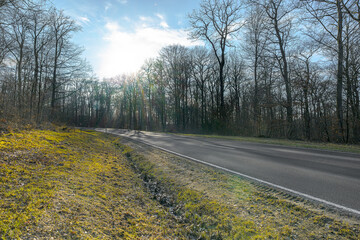 country road germany palatinate in fall backlight without car