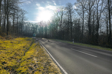 Fototapeta premium country road germany palatinate in fall backlight without car