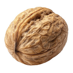 Obraz premium Single walnut in its natural shell, a nutritious and crunchy snack, isolated on transparent bckground 