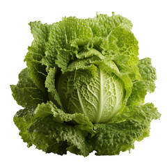 A perfectly round green cabbage head, isolated on a white background