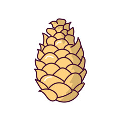 Pinecone doodle color line icon with white background vector stock illustration