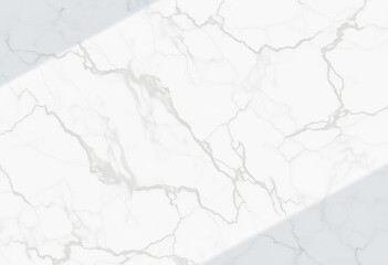 Obraz premium Intricate veining in polished white marble, subtle shadows, art, detail