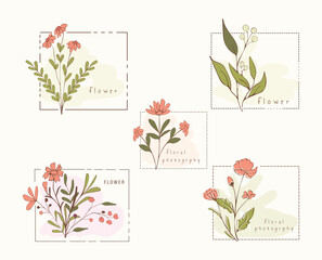 Floral botanical frame collection.