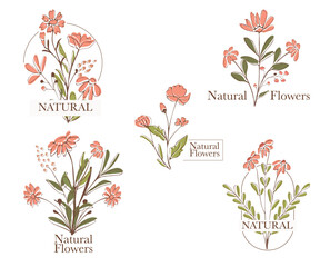 Floral botanical frame collection.