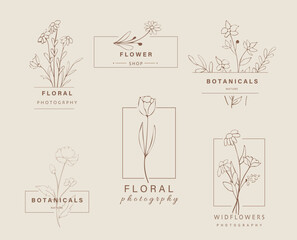 Hand drawn leaf logo design.