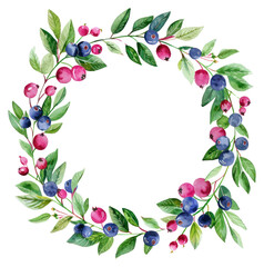 Fototapeta premium PNG Blueberry wreath plant