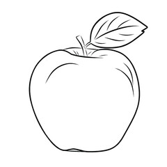 vector line art sketch image of an apple with leaves