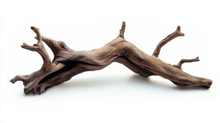 Obraz premium A beautifully twisted piece of driftwood resting on a white background, showcasing its natural curves