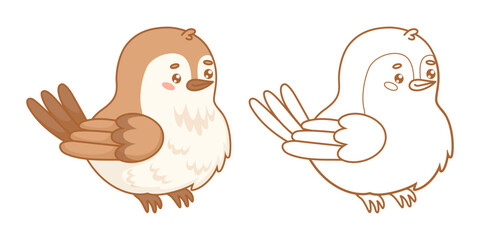 Cute little bird sparrow. Outline and color funny cartoon kawaii character. Line drawing, coloring book. Vector illustration. Kids collection