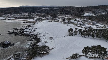 冬の種差海岸（天然芝生地を見下ろす） - 青森県八戸市,日本
