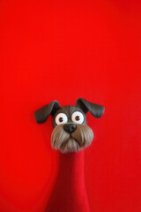 Funny Dog Profile Picture