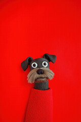 Funny Dog Profile Picture