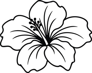 hibiscus flower  line art, hibiscus flower line art vector illustration