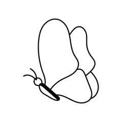 Butterfly doodle line icon with white background vector stock illustration