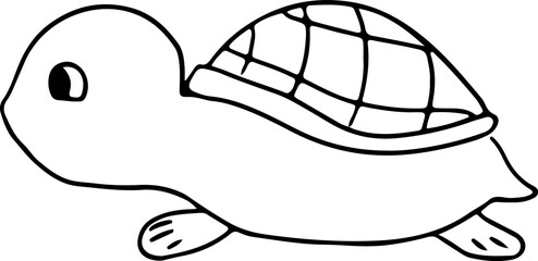 cute little turtle with shell side view