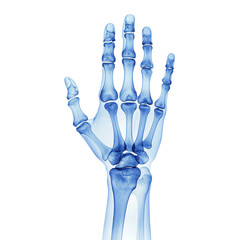 Naklejka premium X ray of a human hand showing bones and joints. Concept of anatomy, medicine, and healthcare.