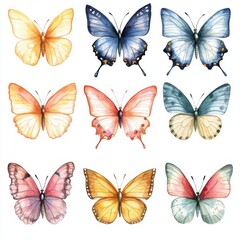 Watercolor Painting of Nine Colorful Butterflies on White Background