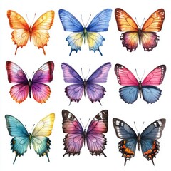 Watercolor Painting of Nine Colorful Butterflies on White Background