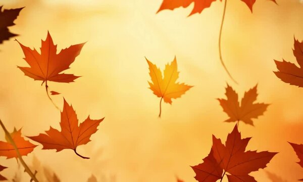 autumn leaves background