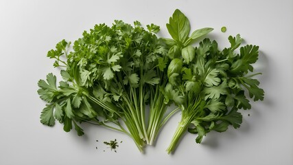 Fototapeta premium A visually appealing, well-lit shot of fresh green herbs such as parsley, basil, and cilantro arranged in a natural, organic composition on a white background. Their delicate leaves and vibrant green 