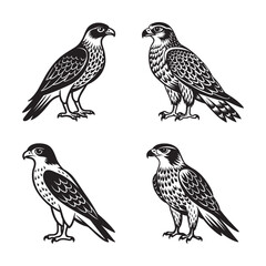 Majestic Eagle Silhouette Vector Set for Designers