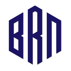 Fototapeta premium Web line modern color full logo design