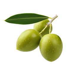 Obraz premium Three green olives with leaves on the branch, isolated on a transparent background with high-detail clipping path