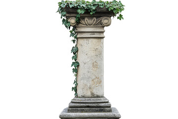 Decorative stone column with ivy on a transparent background
