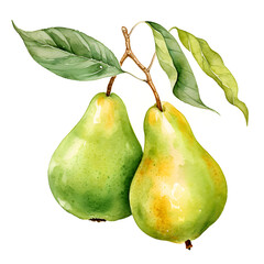 Digital technology pear watercolor design illustration