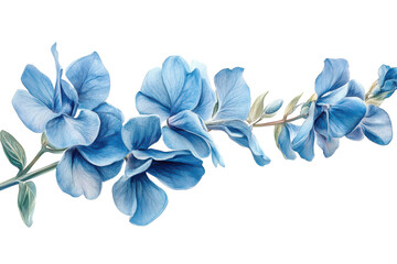Fototapeta premium Blue Floral Arrangement