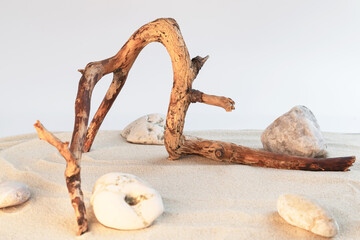 A dry tree branch and rocks on a background of beach sand. Minimalistic creative composite background for the presentation of cosmetics or products. Front view
