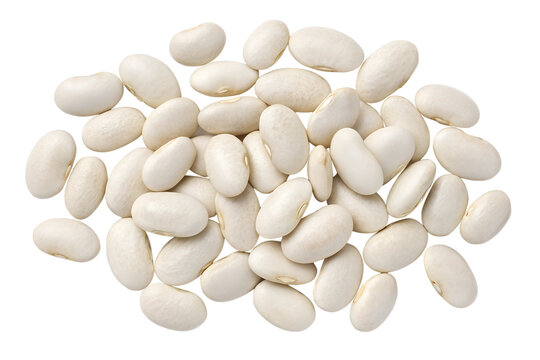 navy beans top view isolated on transparent background png