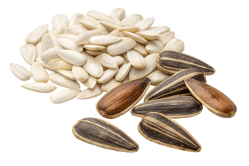 sunflower seeds peeled and unpeeled isolated on transparent background png