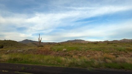 Arizona Driving 1712 Highway Tempe Sunflower