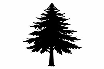 Fototapeta premium pine tree line art silhouette vector illustration