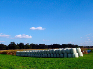 Haylage bales on field in summer