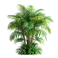 Lush tropical plant arrangement, perfect for botanical decor, isolated on transparent bckground 